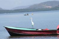 Unterwegs auf der Insel Chira &ndash; &copy; Annett Müller (Eberhardt TRAVEL)
